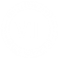TheVIICrew
